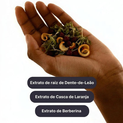 Trio Adesivos Metabólicos - LOECARE™ (90 PARCHES)
